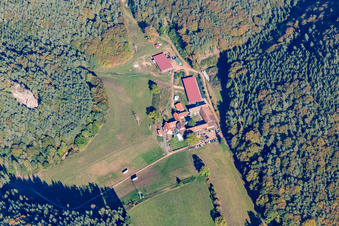 Luftbild von Bio-Gasthof Bärenbrunnerhof in Busenberg im Bundesland Rheinland-Pfalz, Deutschland