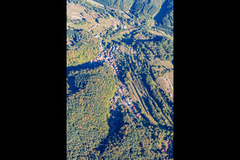 Luftbild von Oberschlettenbach im Bundesland Rheinland-Pfalz, Deutschland
