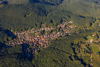 Luftbild von Wald und Berglandschaft des südlichen Pfälzerwald in Dörrenbach im Bundesland Rheinland-Pfalz, Deutschland