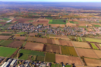 Stadtübersicht aus Süden im Ortsteil Niederlustadt in Lustadt im Bundesland Rheinland-Pfalz, Deutschland