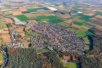 Ortsübersicht hinterm Wald aus Westen in Harthausen im Bundesland Rheinland-Pfalz, Deutschland