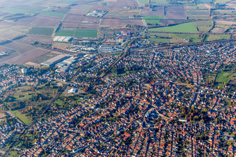Schrägluftbild von Stadtgebiet mit Außenbezirken und Innenstadtbereich in Schifferstadt im Bundesland Rheinland-Pfalz, Deutschland