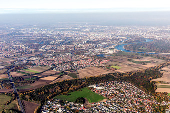 Ortsteil Rheingönheim in Ludwigshafen am Rhein im Bundesland Rheinland-Pfalz, Deutschland