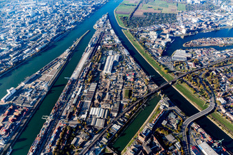 Luftbild von Kaianlagen und Schiffs- Anlegestellen am Hafenbecken des Binnenhafen des Rhein im Ortsteil Mühlauhafen in Mannheim im Ortsteil Innenstadt im Bundesland Baden-Württemberg, Deutschland