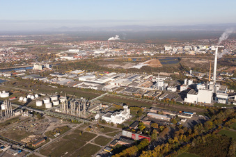 Ölhafenstraße Friesenheimer Insel im Ortsteil Neckarstadt-West in Mannheim im Bundesland Baden-Württemberg, Deutschland