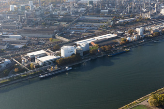 Ortsteil BASF in Ludwigshafen am Rhein im Bundesland Rheinland-Pfalz, Deutschland von einer Drohne aus