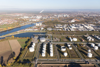 BASF Friesenheim im Ortsteil Neckarstadt-West in Mannheim im Bundesland Baden-Württemberg, Deutschland aus der Luft