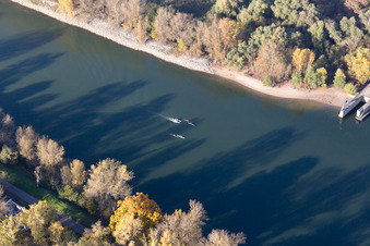 Paddler auf dem Bonadieshafen im Ortsteil Neckarstadt-West in Mannheim im Bundesland Baden-Württemberg, Deutschland