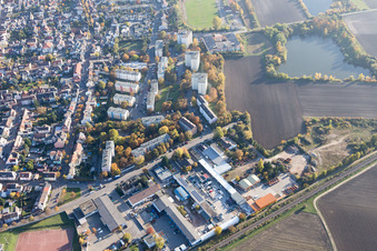 Ortsteil Oppau in Ludwigshafen am Rhein im Bundesland Rheinland-Pfalz, Deutschland aus der Drohnenperspektive