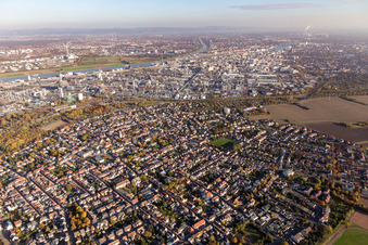 Luftaufnahme von Ortsteil Oppau in Ludwigshafen am Rhein im Bundesland Rheinland-Pfalz, Deutschland