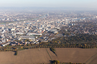 Drohnenbild von Ortsteil BASF in Ludwigshafen am Rhein im Bundesland Rheinland-Pfalz, Deutschland