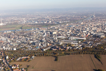 Ortsteil BASF in Ludwigshafen am Rhein im Bundesland Rheinland-Pfalz, Deutschland aus der Drohnenperspektive