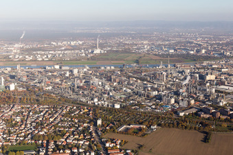 Ortsteil BASF in Ludwigshafen am Rhein im Bundesland Rheinland-Pfalz, Deutschland von einer Drohne aus