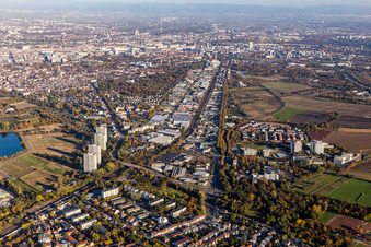 Industriestr im Ortsteil Friesenheim in Ludwigshafen am Rhein im Bundesland Rheinland-Pfalz, Deutschland