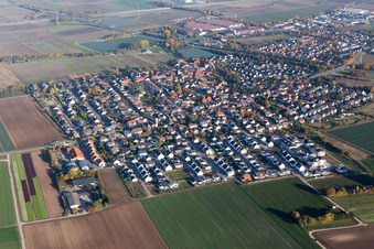Ortsansicht der Straßen und Häuser der Wohngebiete im Ortsteil Schauernheim in Dannstadt-Schauernheim im Bundesland Rheinland-Pfalz, Deutschland