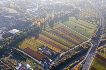 Gutsscchänke Holzhof in Neustadt an der Weinstraße im Bundesland Rheinland-Pfalz, Deutschland