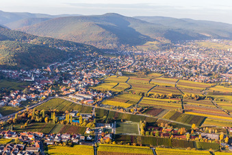 Dorf - Ansicht am Rande von Weinbergen im Ortsteil Hambach in Neustadt an der Weinstraße im Ortsteil Hambach an der Weinstraße im Bundesland Rheinland-Pfalz, Deutschland