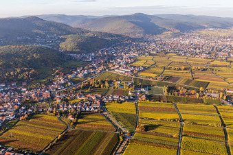 Luftbild von Dorf - Ansicht am Rande von Weinbergen im Ortsteil Hambach in Neustadt an der Weinstraße im Ortsteil Hambach an der Weinstraße im Bundesland Rheinland-Pfalz, Deutschland