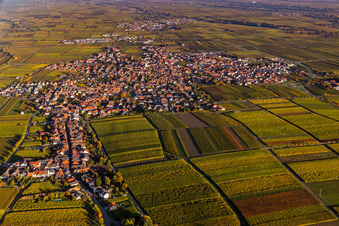 Schrägluftbild von Maikammer im Bundesland Rheinland-Pfalz, Deutschland