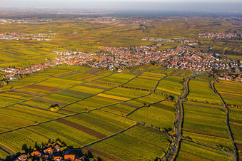 Maikammer im Bundesland Rheinland-Pfalz, Deutschland von oben