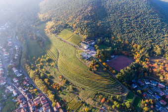 Gebäudekomplex der Hotelanlage Haus am Weinberg in Sankt Martin im Ortsteil SaintMartin im Bundesland Rheinland-Pfalz, Deutschland
