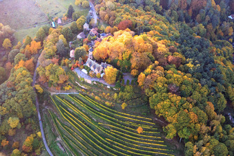 Schloss Kropsburg in Herbstfarben von Osten im Ortsteil SaintMartin in Sankt Martin im Bundesland Rheinland-Pfalz, Deutschland