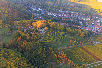 Luftbild von Schloss Kropsburg in Herbstfarben von Süden im Ortsteil SaintMartin in Sankt Martin im Bundesland Rheinland-Pfalz, Deutschland
