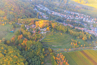 Luftaufnahme von Schloss Kropsburg in Herbstfarben von Süden im Ortsteil SaintMartin in Sankt Martin im Bundesland Rheinland-Pfalz, Deutschland