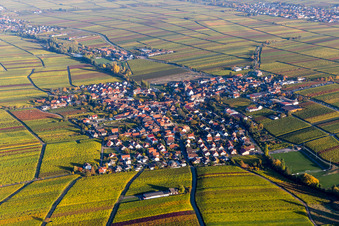 Dorf - Ansicht am Rande von herbstlich gefärbten Weinbergen in Hainfeld im Bundesland Rheinland-Pfalz, Deutschland