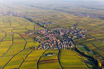 Luftbild von Dorf - Ansicht am Rande von herbstlich gefärbten Weinbergen in Hainfeld im Bundesland Rheinland-Pfalz, Deutschland
