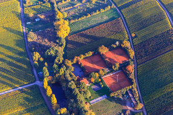 Spielfelder des Tennisclub Modenbachtal in Hainfeld im Bundesland Rheinland-Pfalz, Deutschland
