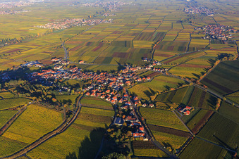 Winzerdorf am Haardtrand in Herbstfarben aus Süden in Burrweiler im Bundesland Rheinland-Pfalz, Deutschland