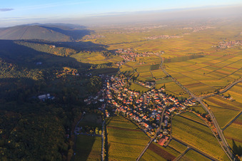 Luftbild von Winzerdorf am Haardtrand in Herbstfarben aus Süden in Gleisweiler im Bundesland Rheinland-Pfalz, Deutschland