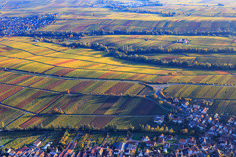 Herbstlicht bunte Reben der Weinberge bis Ilbesheim in Ilbesheim bei Landau im Bundesland Rheinland-Pfalz, Deutschland