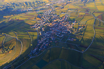 Winzerdorf am Haardtrand in Herbstfarben aus Westen in Birkweiler im Bundesland Rheinland-Pfalz, Deutschland