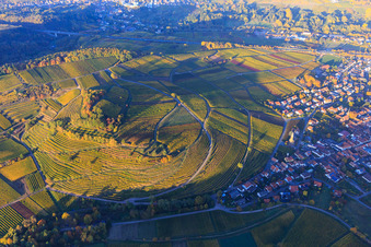Luftbild von Herbstlicht bunte Reben der Weinberge der Lage Kastanienbusch in Birkweiler im Bundesland Rheinland-Pfalz, Deutschland