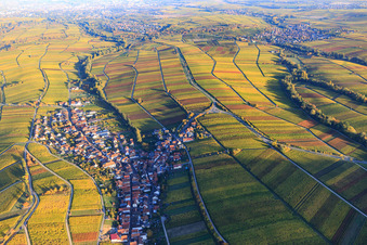 Winzerdorf am Haardtrand in Herbstfarben aus Westen in Ranschbach im Bundesland Rheinland-Pfalz, Deutschland