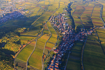 Luftbild von Winzerdorf am Haardtrand in Herbstfarben aus Westen in Ranschbach im Bundesland Rheinland-Pfalz, Deutschland