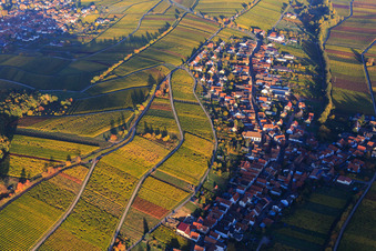 Luftbild von Herbstlicht bunte Reben der Weinberge der Lage Mandelhein in Ranschbach im Bundesland Rheinland-Pfalz, Deutschland