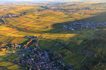 Luftbild von Hotel Leinsweiler Hof zwischen berbstlicht bunten Weinbergen im Bundesland Rheinland-Pfalz, Deutschland