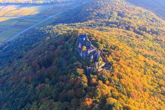 Luftbild von Burgruine Madenburg im herbstlichem Wald bei Abendlicht in Eschbach im Bundesland Rheinland-Pfalz, Deutschland