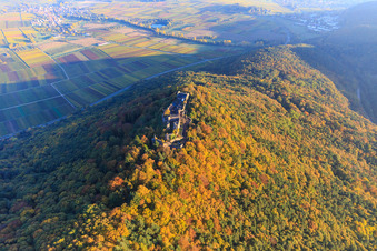 Luftaufnahme von Burgruine Madenburg im herbstlichem Wald bei Abendlicht in Eschbach im Bundesland Rheinland-Pfalz, Deutschland