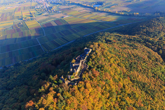 Schrägluftbild von Burgruine Madenburg im herbstlichem Wald bei Abendlicht in Eschbach im Bundesland Rheinland-Pfalz, Deutschland