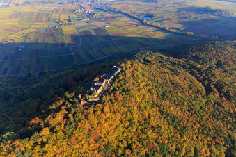 Burgruine Madenburg im herbstlichem Wald bei Abendlicht in Eschbach im Bundesland Rheinland-Pfalz, Deutschland von oben