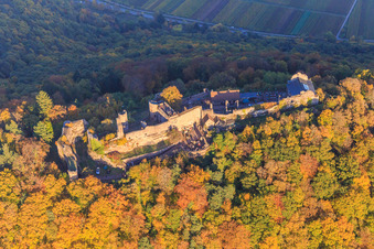 Burgruine Madenburg im herbstlichem Wald bei Abendlicht in Eschbach im Bundesland Rheinland-Pfalz, Deutschland von oben gesehen