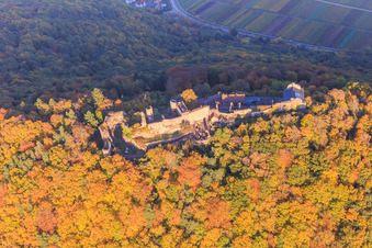 Burgruine Madenburg im herbstlichem Wald bei Abendlicht in Eschbach im Bundesland Rheinland-Pfalz, Deutschland vom Flugzeug aus