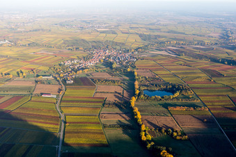 Herbstliche Dorf - Ansicht im Abendlicht am Rande von Feldern in Göcklingen im Bundesland Rheinland-Pfalz, Deutschland
