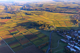 Keschdebuckel mit Klinikfriedhof und  Pfälzische Gedenkstätte für die Opfer der NS-Psychiatrie in Göcklingen im Bundesland Rheinland-Pfalz, Deutschland