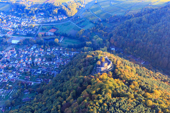 Luftbild von Burgruine der Burg Landeck im herbstlichem Wald bei Abendlicht in Klingenmünster im Bundesland Rheinland-Pfalz, Deutschland