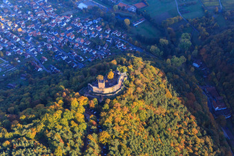 Luftaufnahme von Burgruine der Burg Landeck im herbstlichem Wald bei Abendlicht in Klingenmünster im Bundesland Rheinland-Pfalz, Deutschland